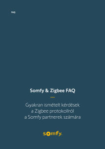 Dokumentum